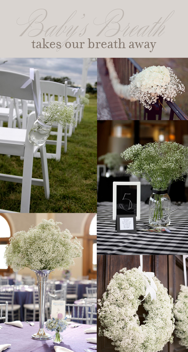 BabysBreath Floral Trends: White Elegance