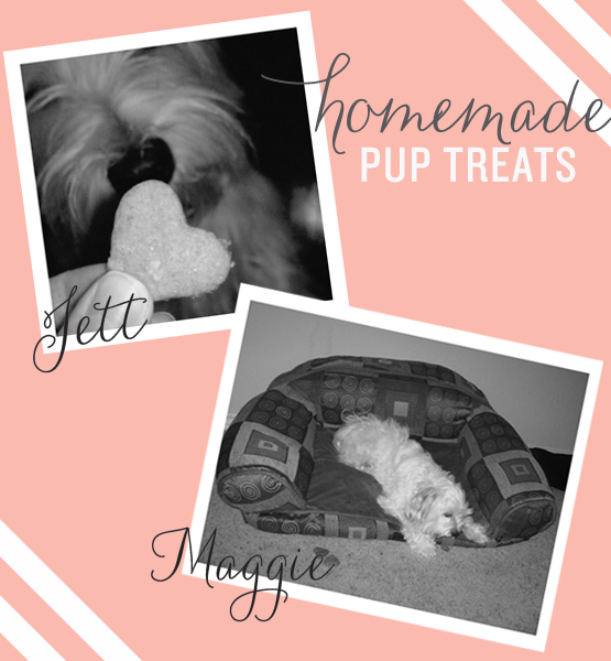 Homemade-Dog-Treats DIY Recipe: Kelly's Peanut Butter Dog Treats