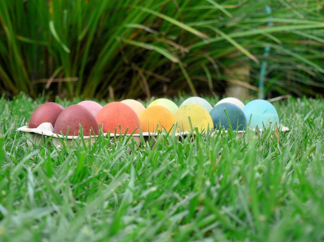 natural_dye_eggs3-650x487 {DIY} All-Natural Easter Egg Dyes
