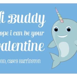 PC35VD1816-Mr-Narwhal-Hi-Buddy-Kids-Valentine-300x300 Home