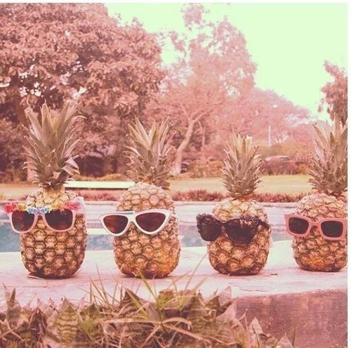 cool_pineapples Pineapple Palooza