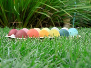 natural_dye_eggs3-300x225 natural_dye_eggs